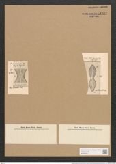 Dictyoneis marginata (Lewis) Cleve (de-Toni-Nr.: Genus 2, Species 839) Zeichnungen Sammlung Grunow Nr. 1667 (NHMW-BOT-W0368525)